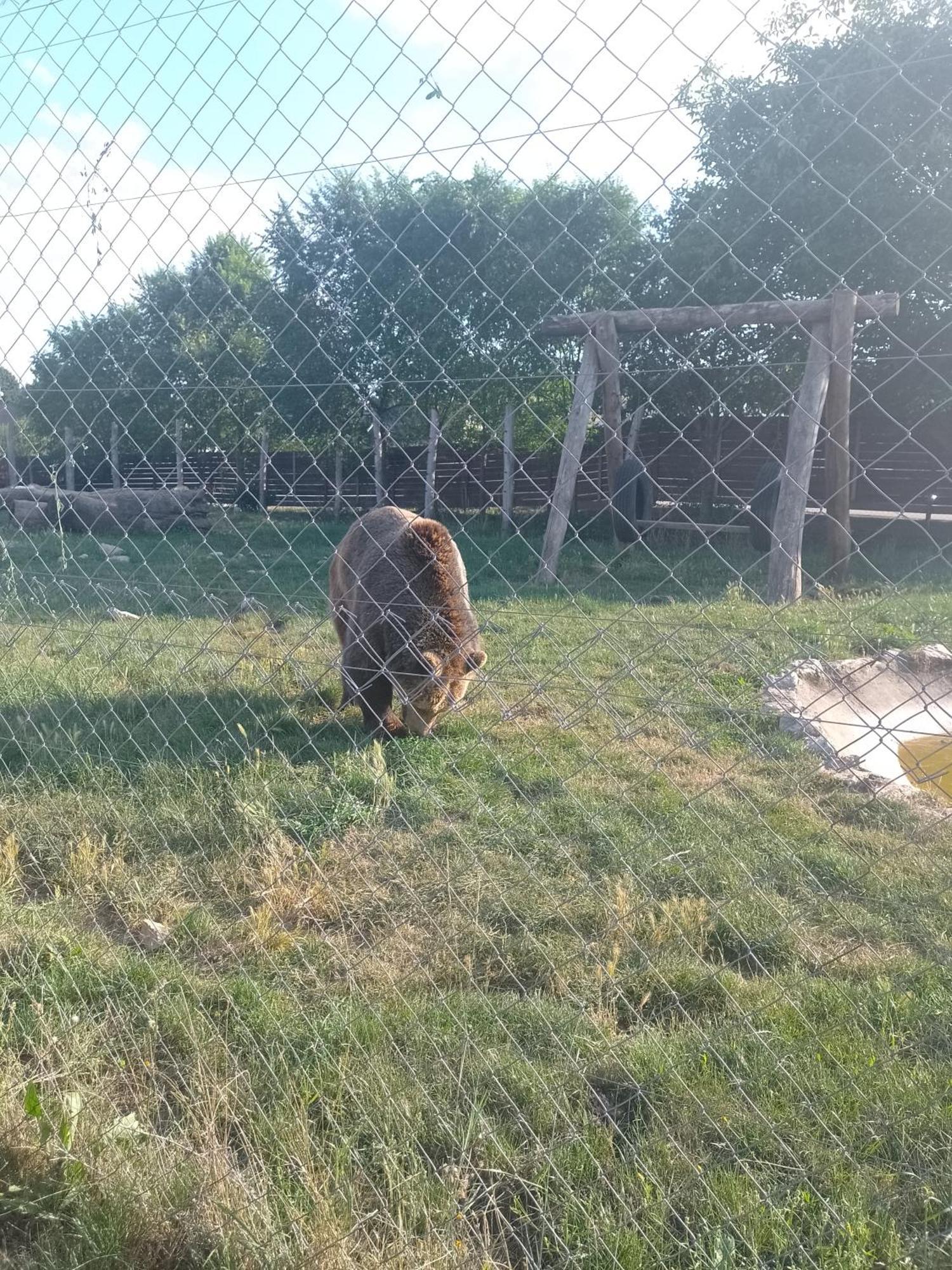 Apartman Djak Plitvička Jezera Buitenkant foto